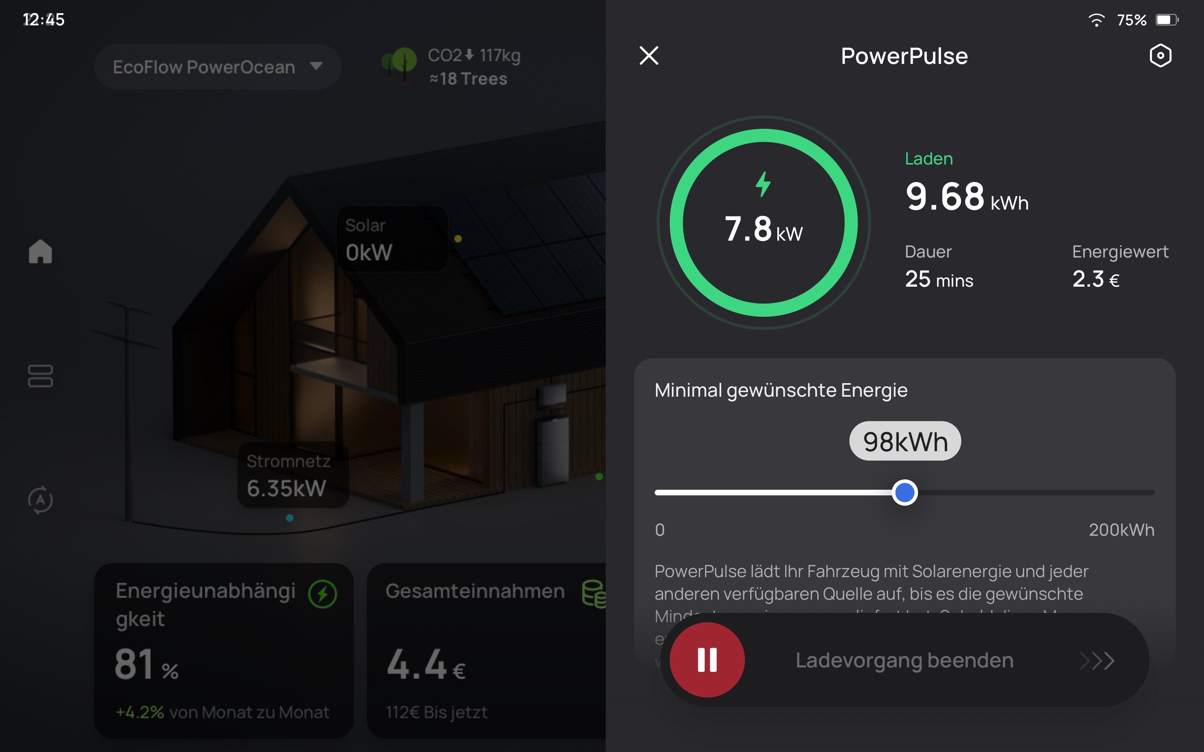 EcoFlow EFPowerInsight - Zubehör